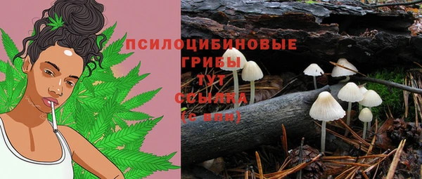 хмурый Вязники